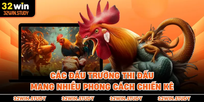 Các đấu trường thi đấu mang nhiều phong cách chiến kê